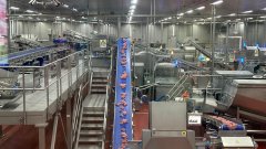 背后倒是一整套对温度、时间、工艺的精